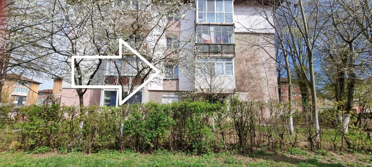 Studio Vale Lägenhet Hunedoara Exteriör bild