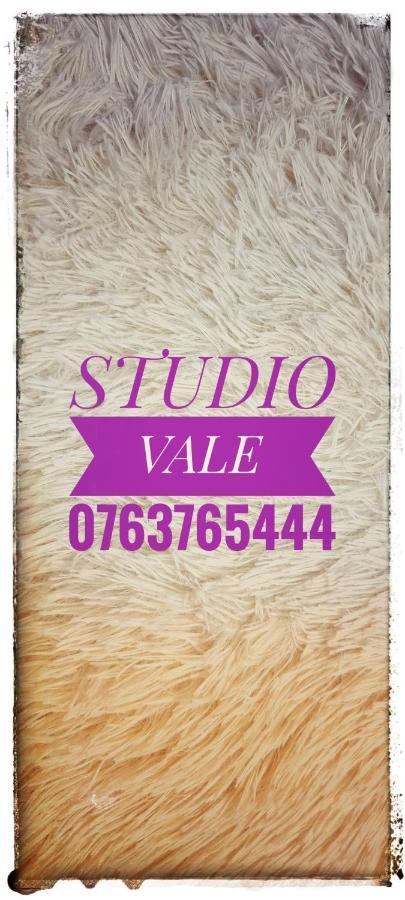Studio Vale Lägenhet Hunedoara Exteriör bild