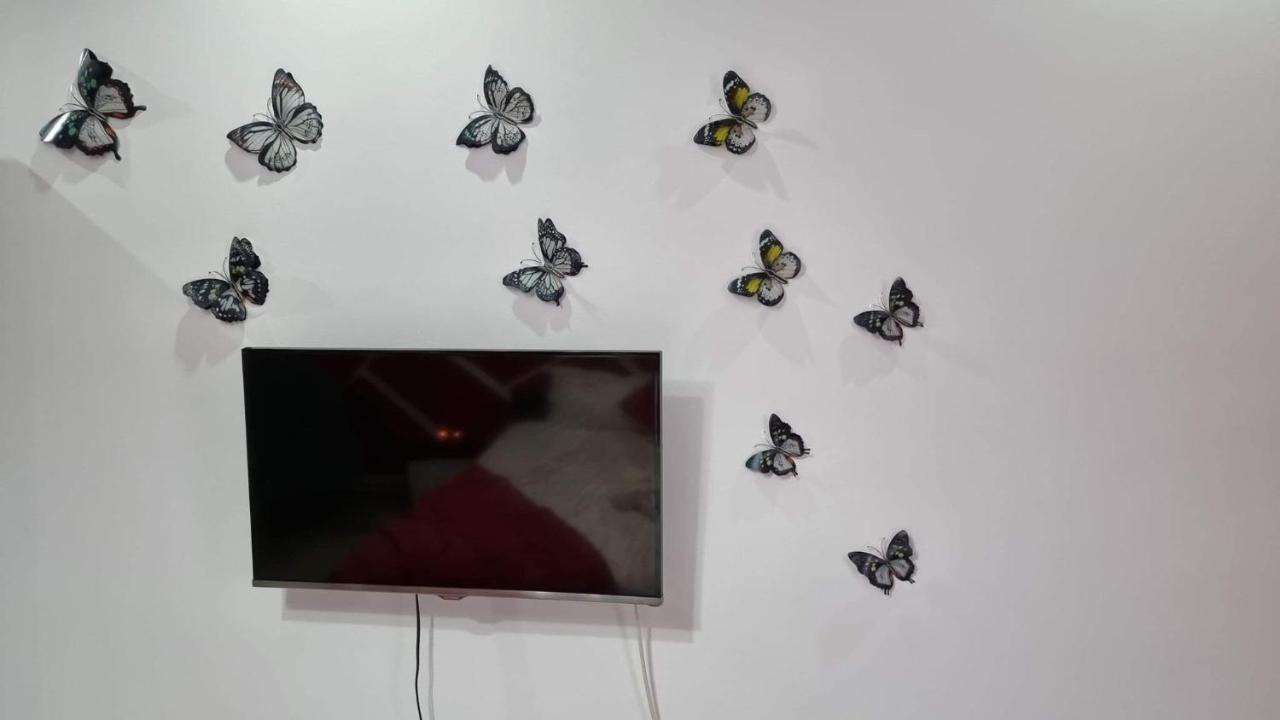 Studio Vale Lägenhet Hunedoara Exteriör bild