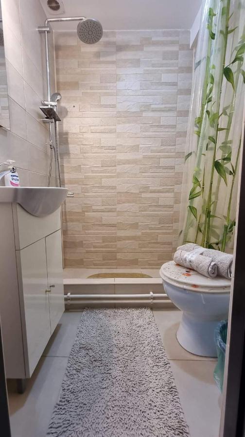 Studio Vale Lägenhet Hunedoara Exteriör bild