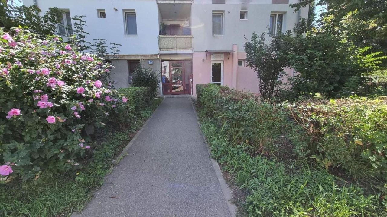 Studio Vale Lägenhet Hunedoara Exteriör bild